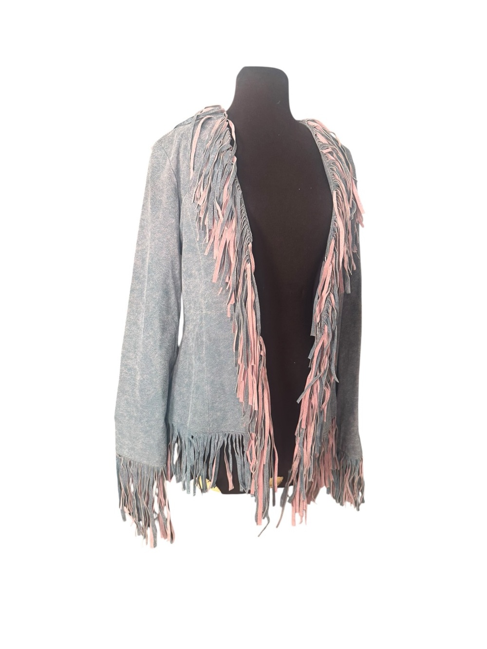 Vintage Y2K Wilsons Leather Fringe Jacket Blue Pink Suede Western Moto Boho M